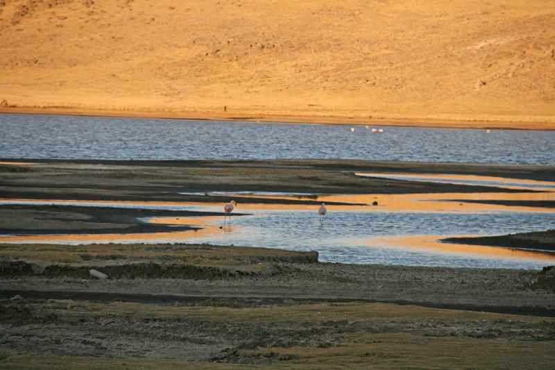 Peru 0901
